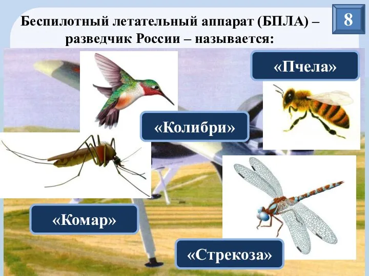 8 Беспилотный летательный аппарат (БПЛА) – разведчик России – называется: «Комар» «Пчела» «Стрекоза» «Колибри»