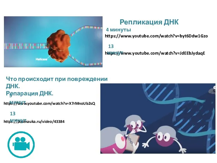 Репликация ДНК 4 минуты https://www.youtube.com/watch?v=byt6Ddw1Gzo https://www.youtube.com/watch?v=JdEEbJydaqE 13 минут Что происходит при повреждении