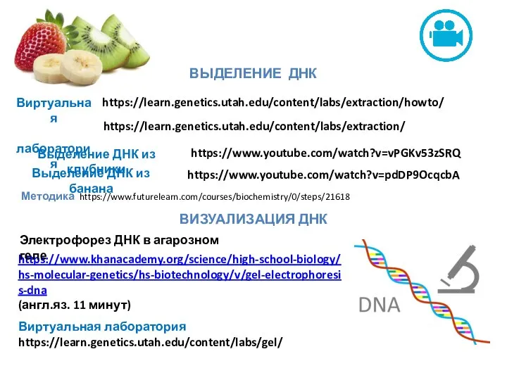 https://www.khanacademy.org/science/high-school-biology/hs-molecular-genetics/hs-biotechnology/v/gel-electrophoresis-dna (англ.яз. 11 минут) Виртуальная лаборатория https://learn.genetics.utah.edu/content/labs/gel/ Электрофорез ДНК в агарозном геле