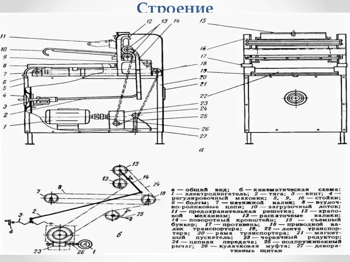 Строение