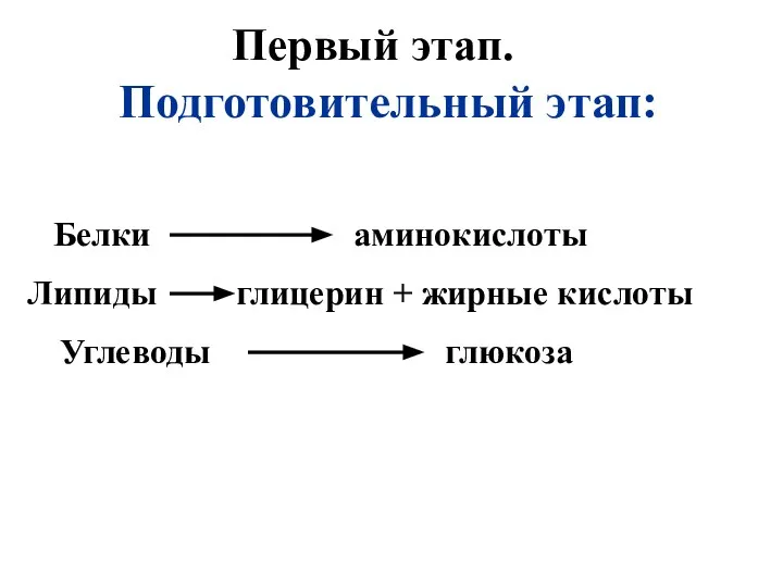 Первый этап. Подготовительный этап: Белки аминокислоты Липиды глицерин + жирные кислоты Углеводы глюкоза