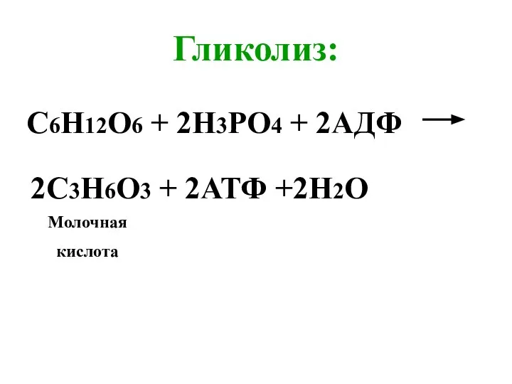 Гликолиз: С6Н12О6 + 2Н3РО4 + 2АДФ 2С3Н6О3 + 2АТФ +2Н2О Молочная кислота
