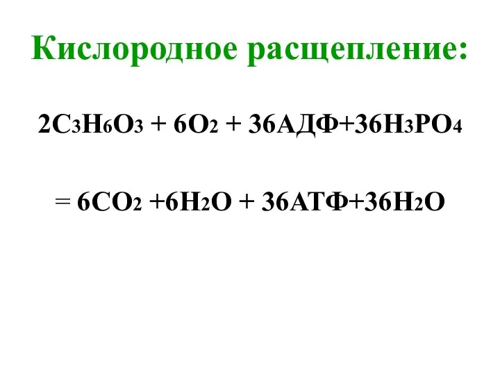 Кислородное расщепление: 2С3Н6О3 + 6О2 + 36АДФ+36Н3РО4 = 6СО2 +6Н2О + 36АТФ+36H2О