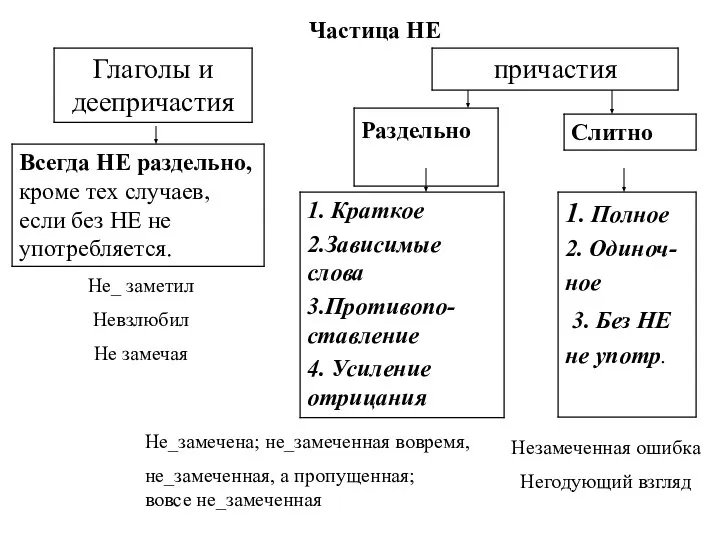 Частица НЕ Не_ заметил Невзлюбил Не замечая Не_замечена; не_замеченная вовремя, не_замеченная, а