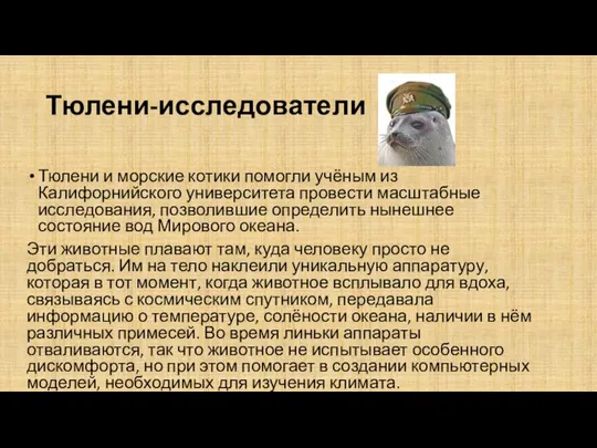 Тюлени-исследователи Тюлени и морские котики помогли учёным из Калифорнийского университета провести масштабные