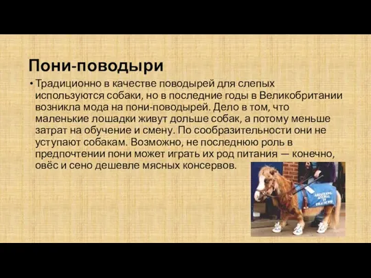 Пони-поводыри Традиционно в качестве поводырей для слепых используются собаки, но в последние