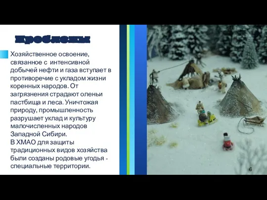 Проблемы Хозяйственное освоение, связанное с интенсивной добычей нефти и газа вступает в