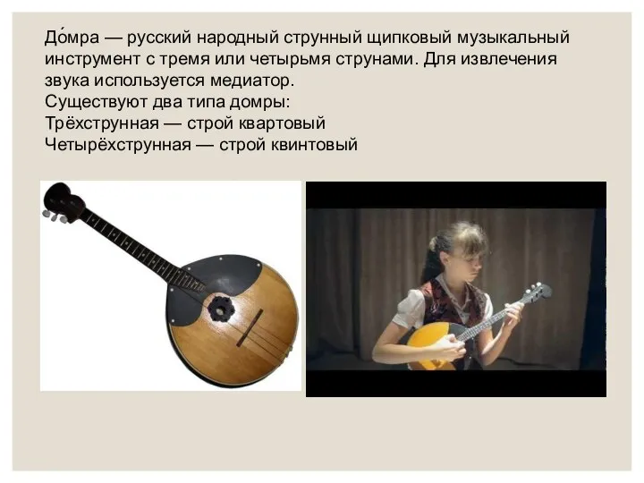 До́мра — русский народный струнный щипковый музыкальный инструмент с тремя или четырьмя