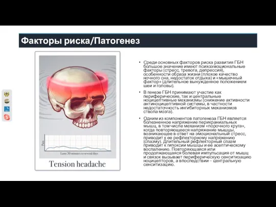 Факторы риска/Патогенез Среди основных факторов риска развития ГБН большое значение имеют психоэмо­циональные