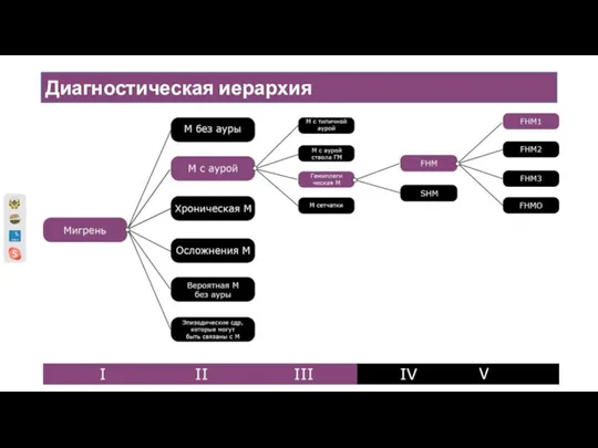 Диагностическая иерархия V