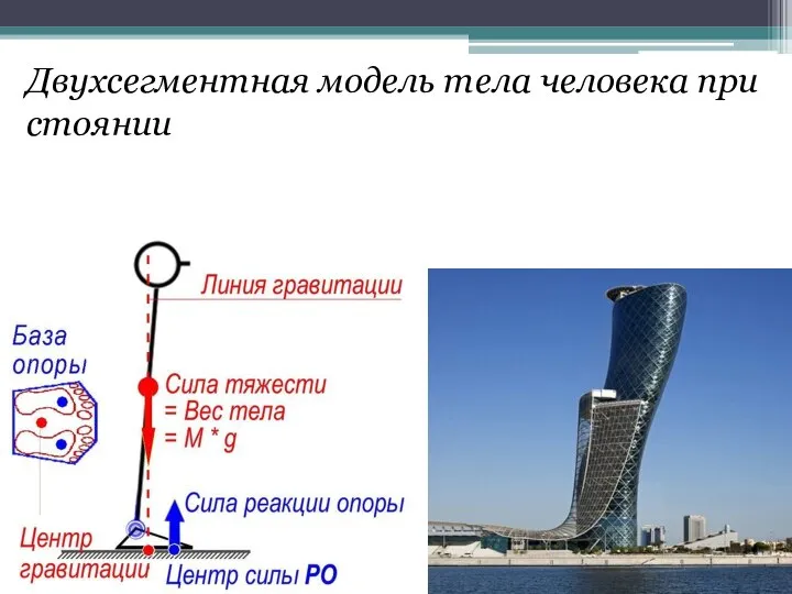 Двухсегментная модель тела человека при стоянии