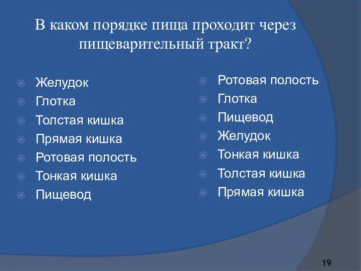 В каком порядке пища проходит через пищеварительный тракт? Желудок Глотка Толстая кишка