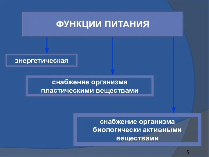 ФУНКЦИИ ПИТАНИЯ энергетическая снабжение организма пластическими веществами снабжение организма биологически активными веществами