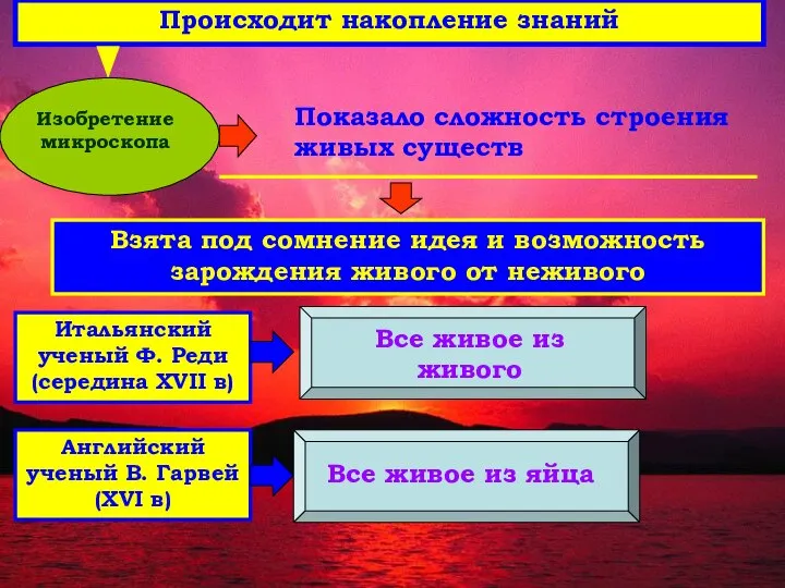 Происходит накопление знаний Изобретение микроскопа Показало сложность строения живых существ Взята под