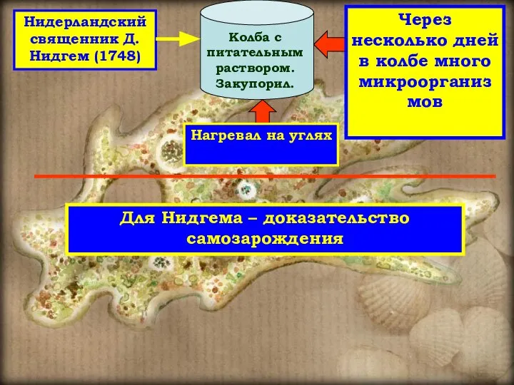 Нидерландский священник Д. Нидгем (1748) Колба с питательным раствором. Закупорил. Нагревал на