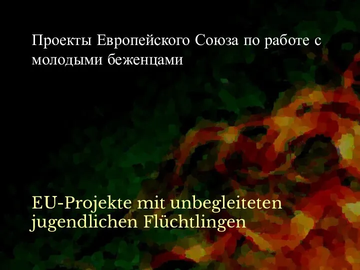 Проекты Европейского Союза по работе с молодыми беженцами EU-Projekte mit unbegleiteten jugendlichen Flüchtlingen