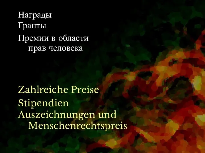 Гранты Stipendien Награды Zahlreiche Preise Премии в области прав человека Auszeichnungen und Menschenrechtspreis