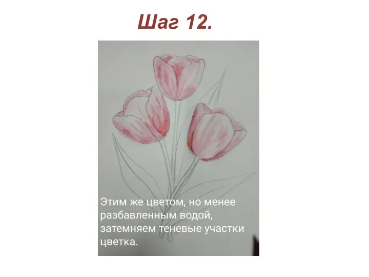 Шаг 12.