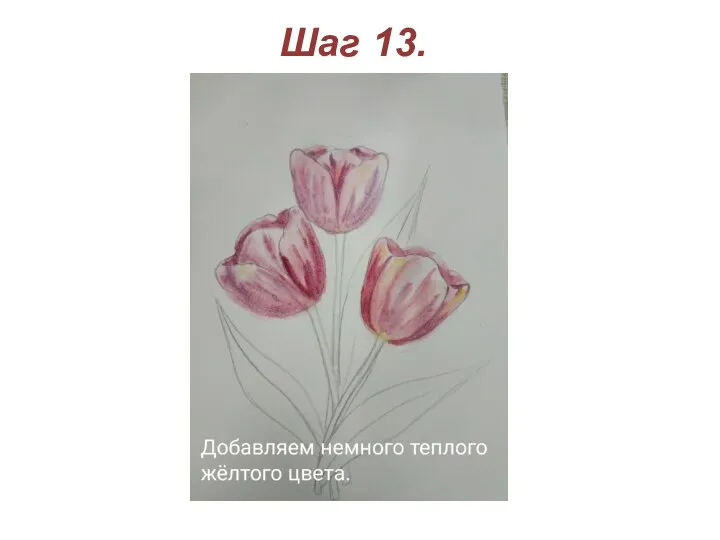 Шаг 13.