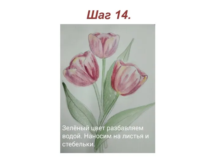 Шаг 14.