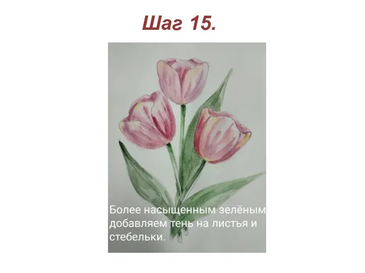 Шаг 15.