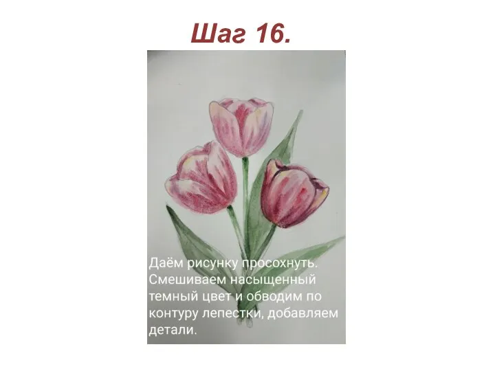 Шаг 16.