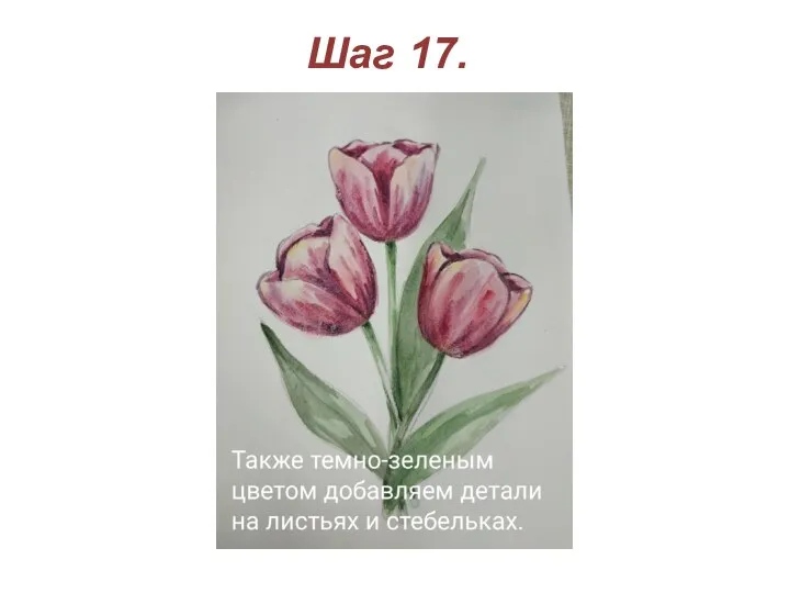 Шаг 17.