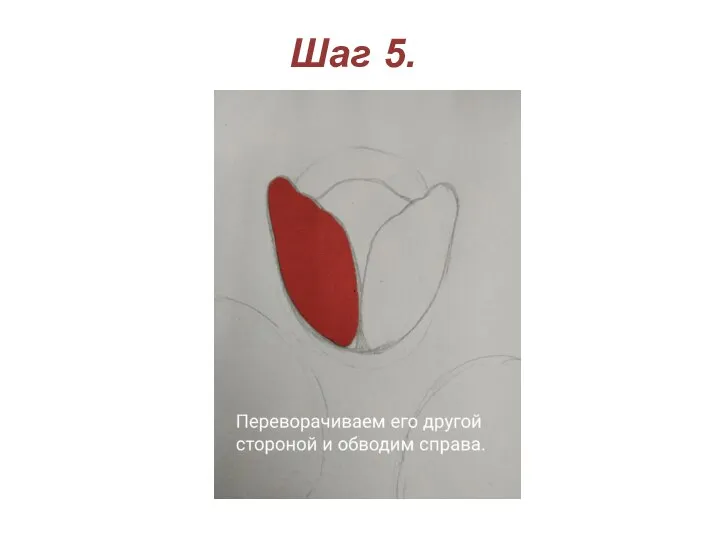 Шаг 5.