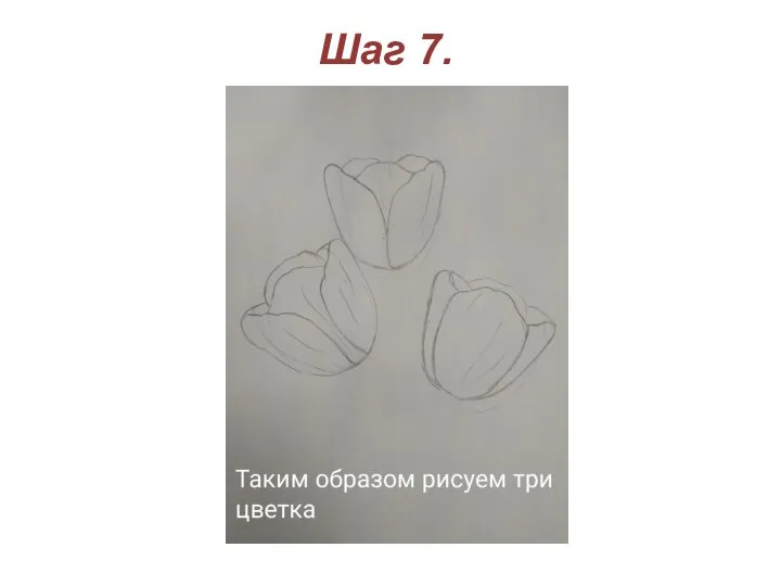 Шаг 7.