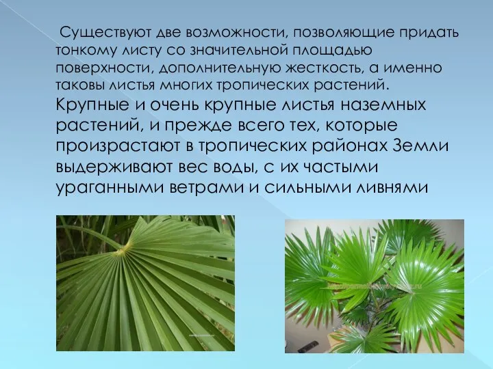 Существуют две возможности, позволяющие придать тонкому листу со значительной площадью поверхности, дополнительную