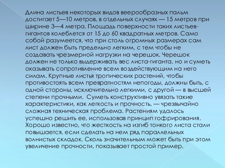 Длина листьев некоторых видов веерообразных пальм достигает 5—10 метров, в отдельных случаях