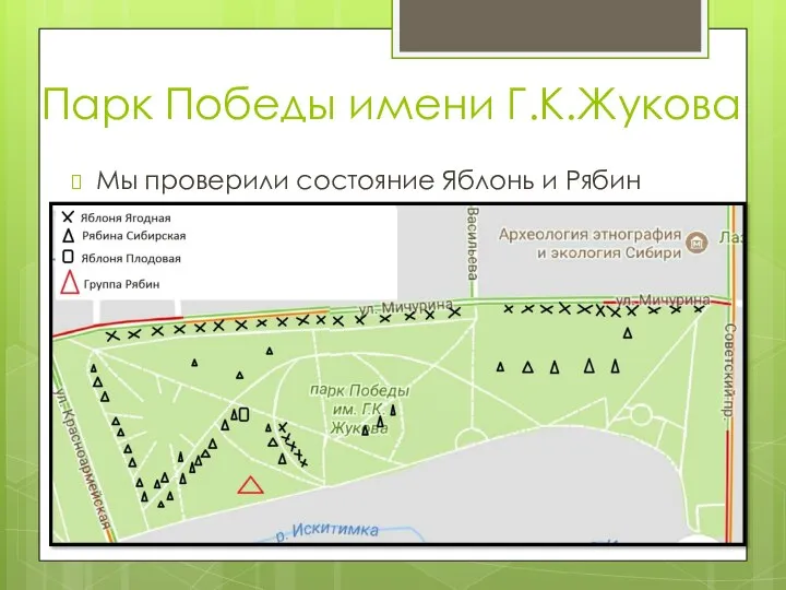 Парк Победы имени Г.К.Жукова Мы проверили состояние Яблонь и Рябин