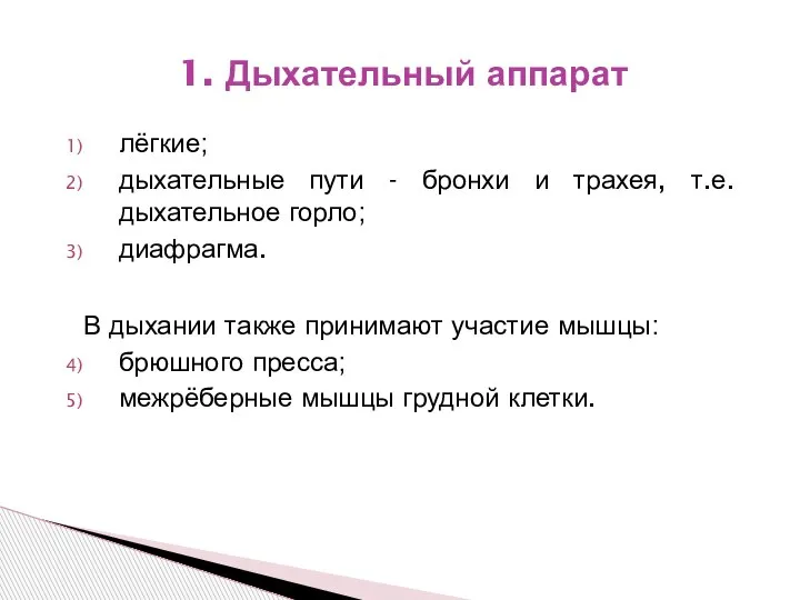 1. Дыхательный аппарат лёгкие; дыхательные пути - бронхи и трахея, т.е. дыхательное