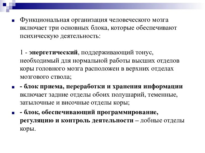 Функциональная организация человеческого мозга включает три основных блока, которые обеспечивают психическую деятельность: