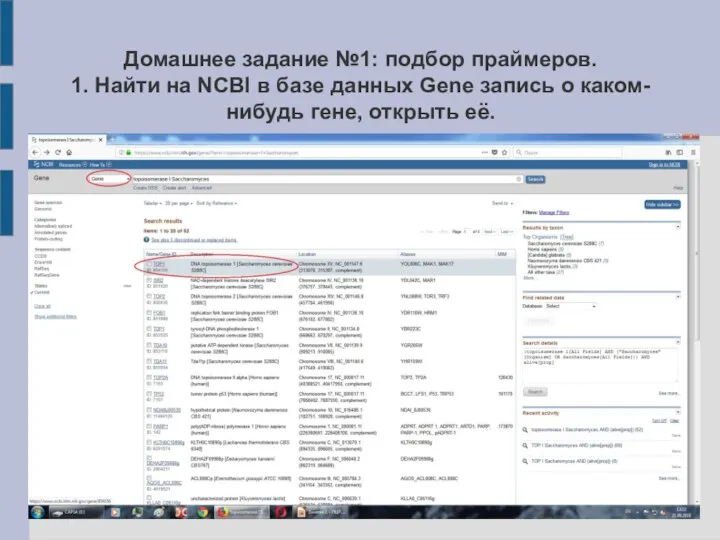 Домашнее задание №1: подбор праймеров. 1. Найти на NCBI в базе данных