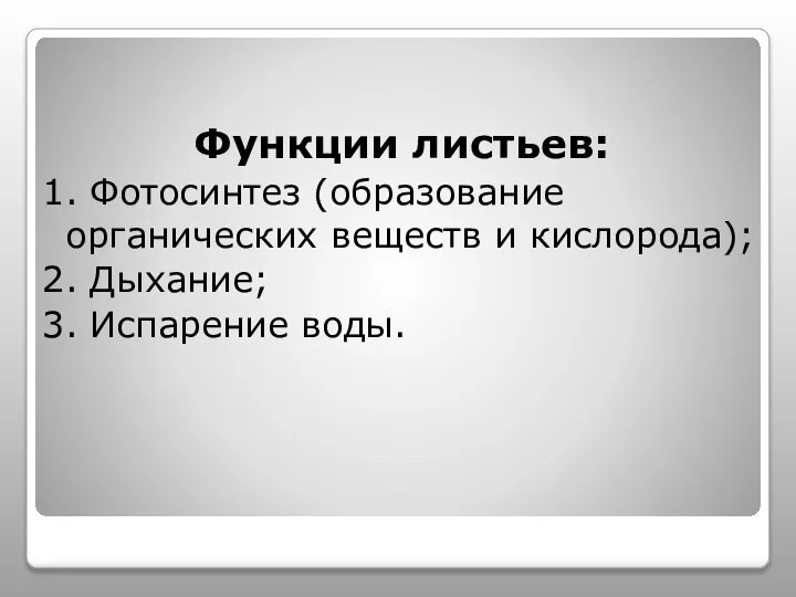 Функции листьев: 1. Фотосинтез (образование органических веществ и кислорода); 2. Дыхание; 3. Испарение воды.