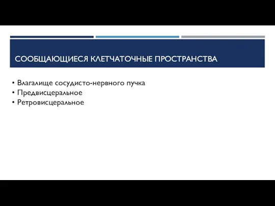 СООБЩАЮЩИЕСЯ КЛЕТЧАТОЧНЫЕ ПРОСТРАНСТВА Влагалище сосудисто-нервного пучка Предвисцеральное Ретровисцеральное