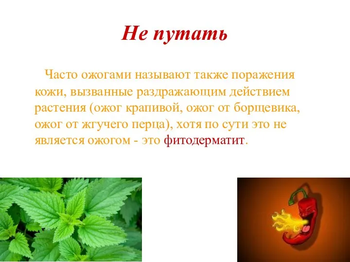 Не путать Часто ожогами называют также поражения кожи, вызванные раздражающим действием растения