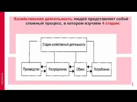 Хозяйственная деятельность людей представляет собой сложный процесс, в котором изучаем 4 стадии: