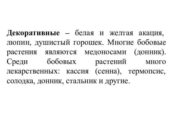 Декоративные – белая и желтая акация, люпин, душистый горошек. Многие бобовые растения