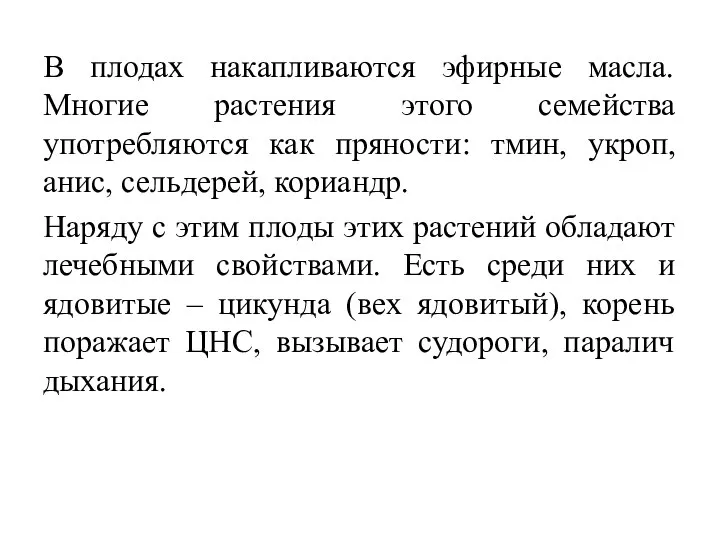 В плодах накапливаются эфирные масла. Многие растения этого семейства употребляются как пряности: