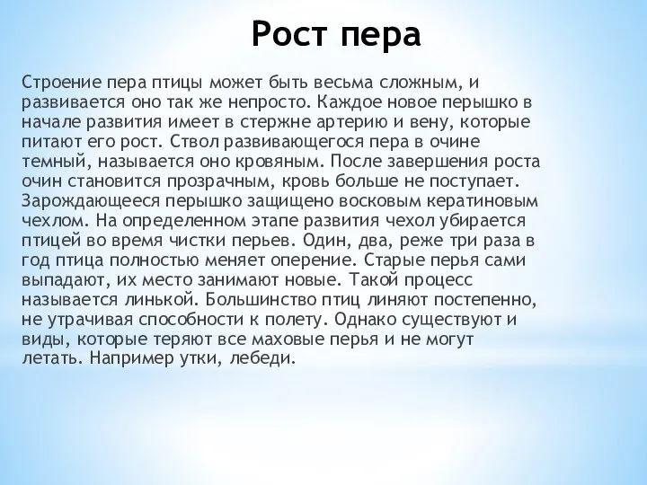 Рост пера Строение пера птицы может быть весьма сложным, и развивается оно