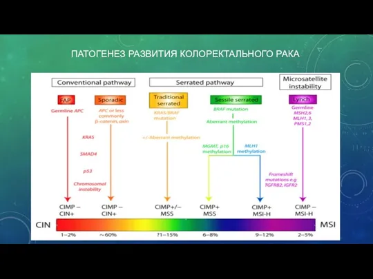 ПАТОГЕНЕЗ РАЗВИТИЯ КОЛОРЕКТАЛЬНОГО РАКА