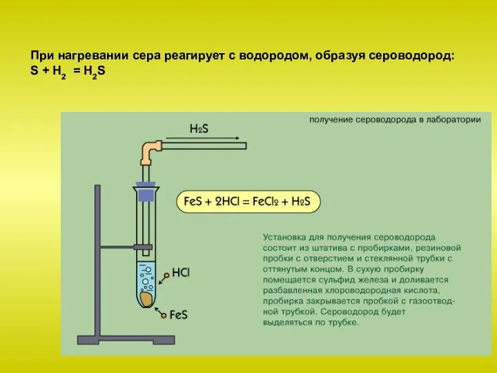 При нагревании сера реагирует с водородом, образуя сероводород: S + Н2 = H2S