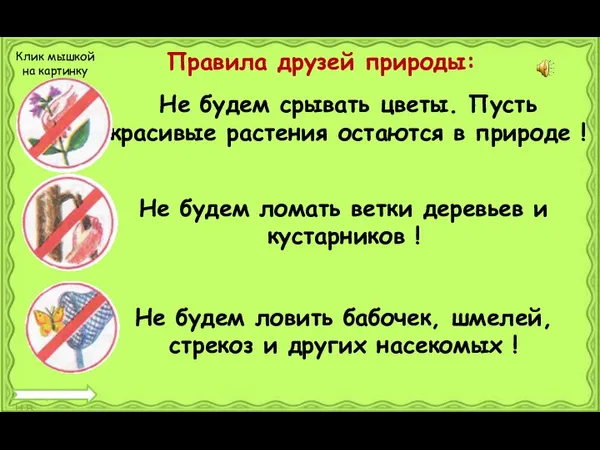 Не будем срывать цветы. Пусть красивые растения остаются в природе ! Клик