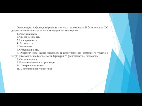 Организация и функционирование системы экономической безопасности ИС должны осуществляться на основе следующих