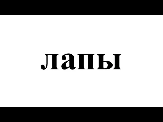 лапы