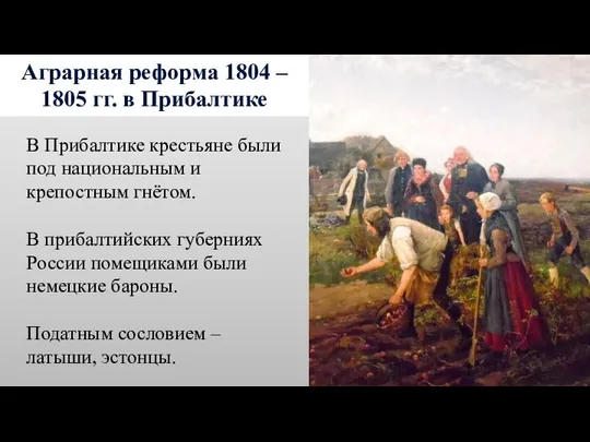 Аграрная реформа 1804 – 1805 гг. в Прибалтике В Прибалтике крестьяне были