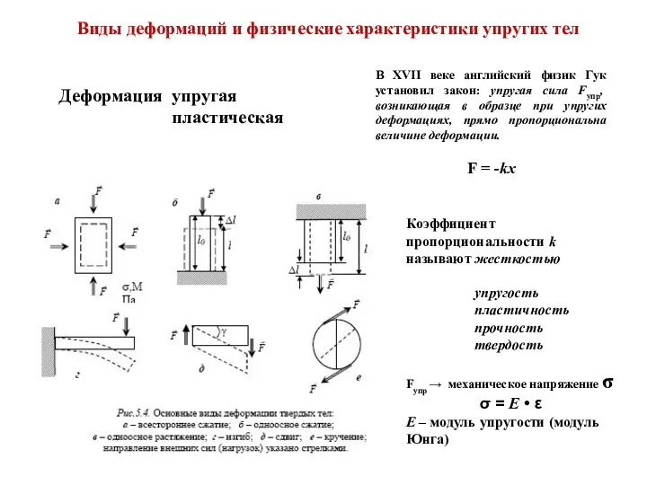 Виды деформаций и физические характеристики упругих тел Деформация упругая пластическая В XVII