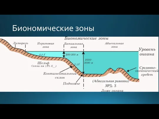 Биономические зоны